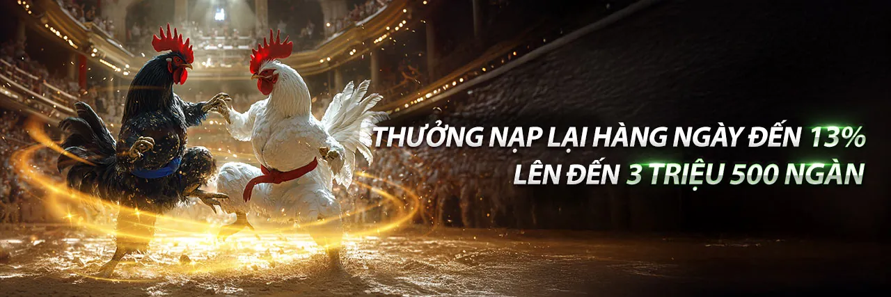 Sân đấu đá gà kịch tính tại 8kbe win
